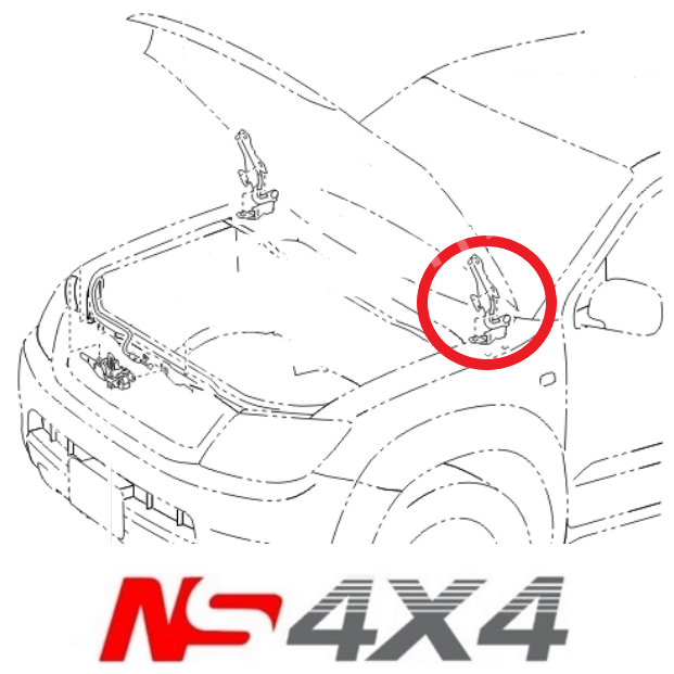 Ns4x4